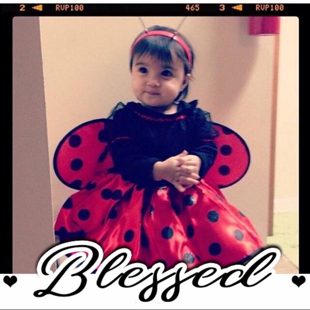 Meet your Posher, Lu ladybug